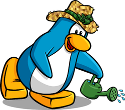 Straw Hat penguin spinning  Rosebud1234's Club Penguin Pix & Animations  and More!