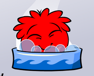 A Black Puffle taking a bath and smiling