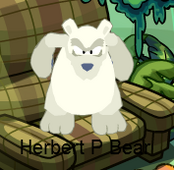 Herbert spotted at his Paradise