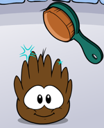 Brown Puffle brush time.png (29 KB) Brown Puffle being brushed