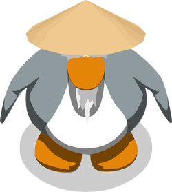 Sensei Gallery Club Penguin Wiki Fandom