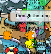 PH spotted during Puffle Party 2012.