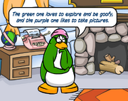 Can you describe your puffles to me - The Missing Puffles.png