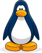 When creating a penguin (formerly)