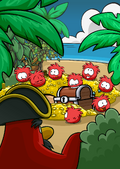 Rockhopper Island Red Puffle Treasure.png
