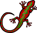 Wall Gecko