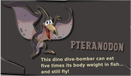 The description of the grey Pteranodon.