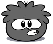 Another Black Puffle.