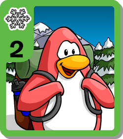 Club Penguin Trading Cards – Thrift2U