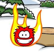 A Black Puffle on fire.