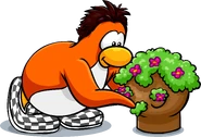 As seen in issue 184 of the Club Penguin Times, along with The Tuft and Flower Planter