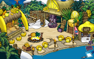 Adventure Party Temple of Fruit Cove