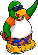 As seen in issue 243 of the Club Penguin Times, along with the Orange Hawaiian Outfit, Canteen, and Yellow Sandals