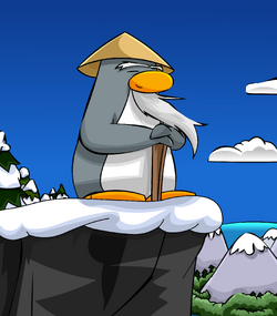 Sensei Gallery Club Penguin Wiki Fandom