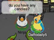 Ninja (a Daffodaily5): ¿tienes algunos caramelos?