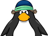 Cool Ski Beanie