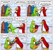 What You Always Wanted (Dec 29, 2008)