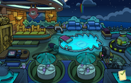 Puffle Hotel Roof