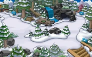 Bosque nuevo.png (303 kB) Después de la mejora en enero 2014.