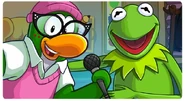 Kermit y Tía Arctic