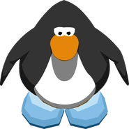 480px-SnowyNightBootsIG.png (53 kB) En el juego