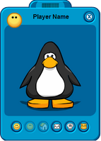 Normal penguin