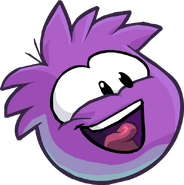 PurplePuffle2