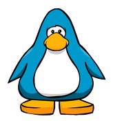 Karta gracza typowego pingwina