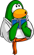 As seen in issue 188 of the Club Penguin Times, along with the White Gi