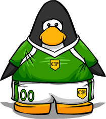 GreensoccerjerseyPC