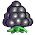 Black O'Berry
