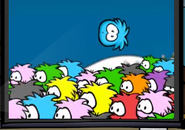 The orange puffle spotted in the Puffle Video.