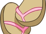 Pink Flip Flops