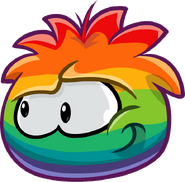 A close up on the puffle from the Log-in Screen