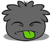 A Black Puffle sticking its tongue out.