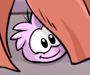 A Pink Puffle hiding behind a curtain.