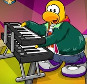 Frank tocando teclado