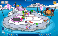 Iceberg (Puffle Rosa)