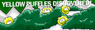The first Yellow Puffles Discovered picture in Issue 110 of the Club Penguin Times
