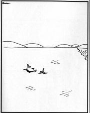 The comic that inspired Lance to choose penguins