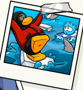 On a Stamp Book photograph of Puffle Rescue