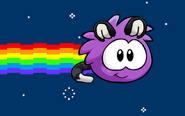 The REAL Nyan Puffle