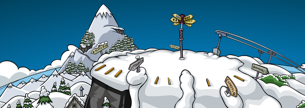 Card Codes – Club Penguin Mountains