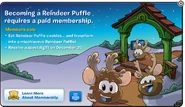 When a non-member tried to transform into a Reindeer Puffle