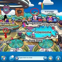 List Of Glitches On Club Penguin Club Penguin Wiki Fandom To get started, choose one of the two options below. club penguin wiki