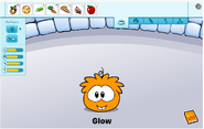 The New Puffle Look,when you click your puffles in your igloo (NOTE:See the New Button?)