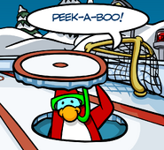 A penguin with a green snorkel below the Ice Rink