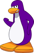 Pinguino Violeta5