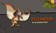 PteranodonOrangeDescription
