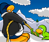 Penguin and puffle swimming in foreground, Shockto